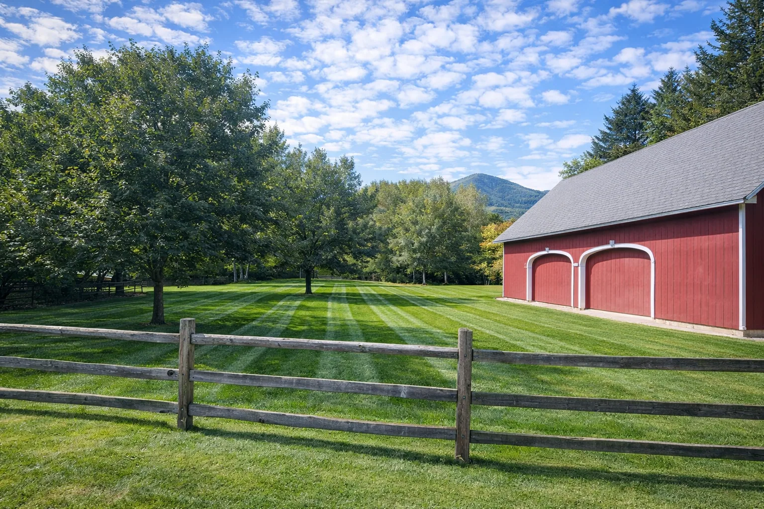 Property Maintenance